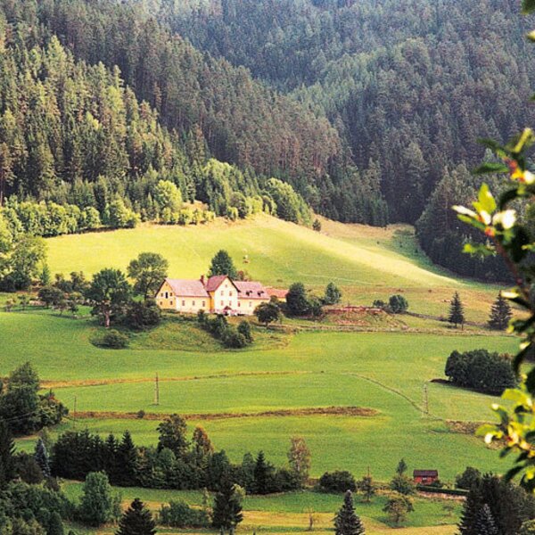 The Marx farmhouse in summertime