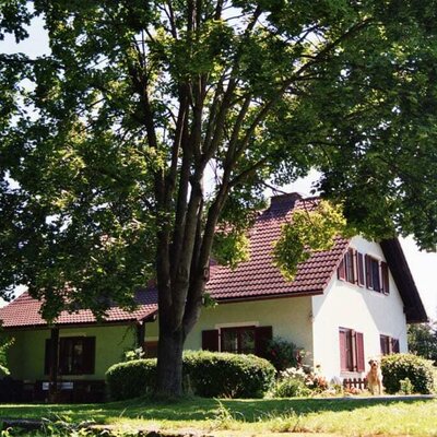 TERACE GUEST HOUSE 2