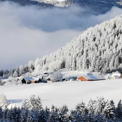 The snow-covered winter landscape surrounding the Farm House, featuring traditional buildings nestled among dense fir forests.