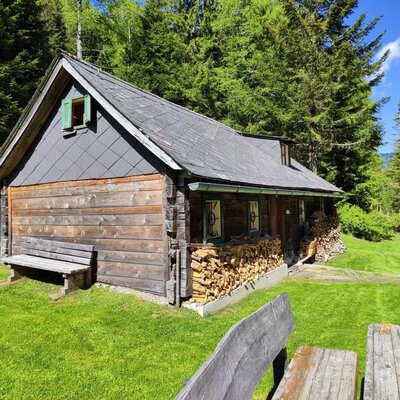 The rustic wood-style bed and breakfast, surrounded by a lush green lawn and dense forest.