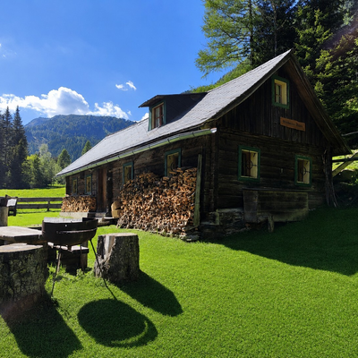 The bed and breakfast's rustic wooden cabin set in a sunny meadow with cozy outdoor seating and mountain views.