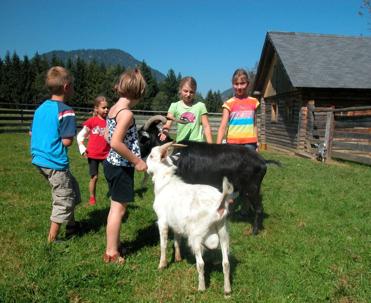 Children interacting with goats at the Farm House, with a wooden building and mountains in the background.