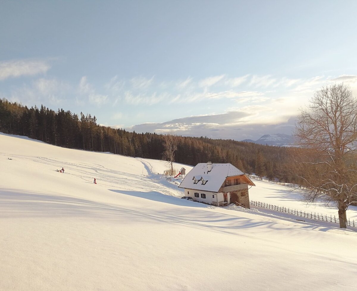 Holidayhouse in winter
