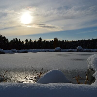 The frozen pond at the Farm House, offering a winter view that can be seen from private balconies.