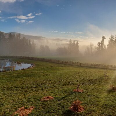 View from the Farm House, showing the pond, fence, and rolling countryside with misty hills.