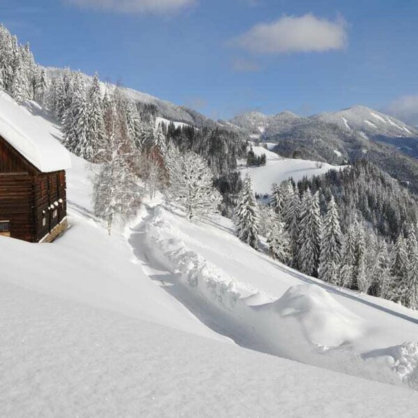 Winter on the Planken Winter on the Planken