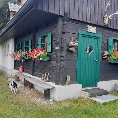 The farmhouse exterior features dark wooden walls, green shutters with colorful flower boxes, a green entrance door, and outdoor wooden benches.