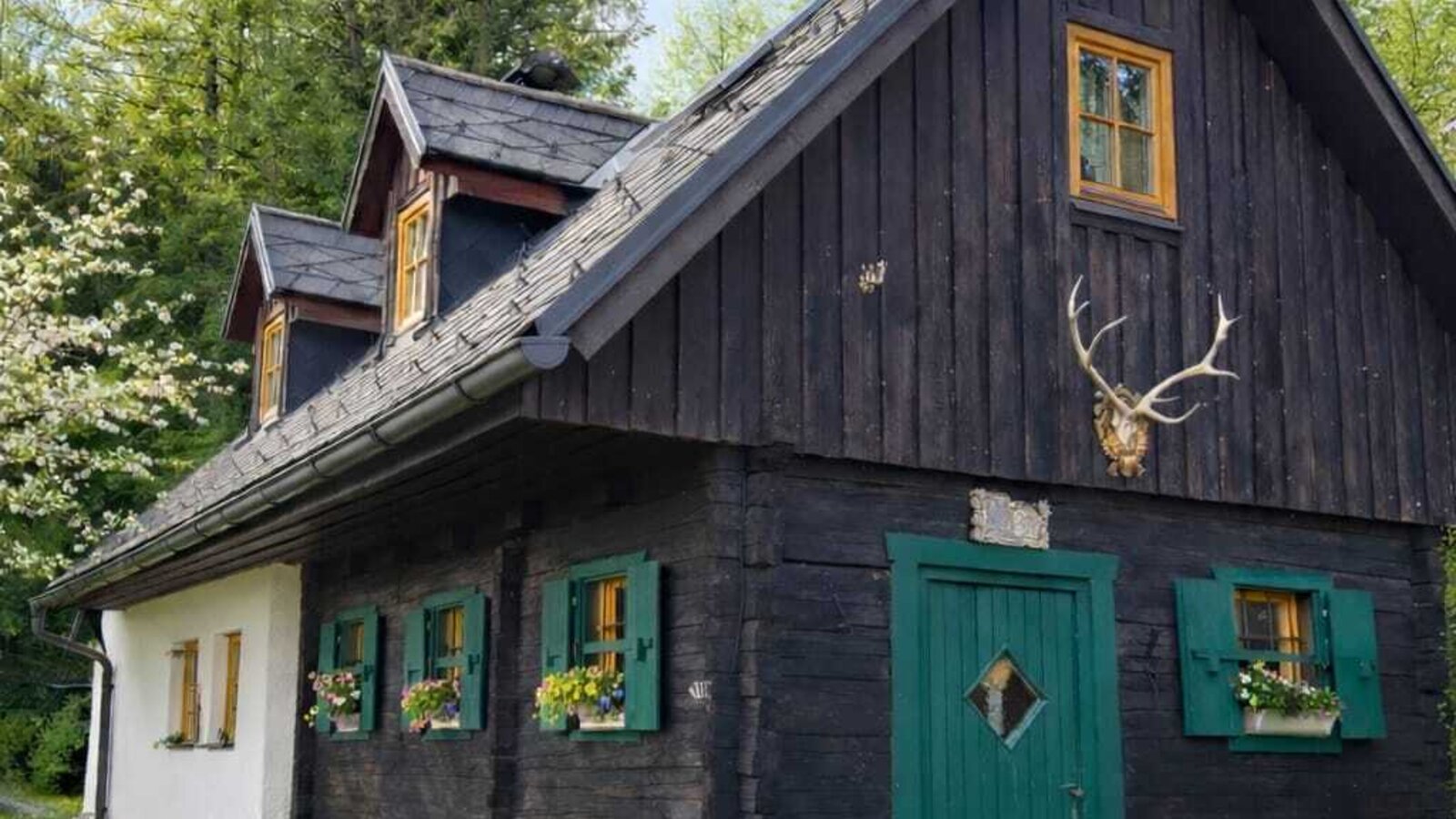 Exterior view of the Bed and Breakfast with a dark wood facade, white walls, green shutters, and a green entrance door.