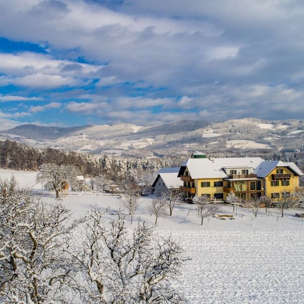 The Farm House is situated in a snow-covered landscape with distant mountains, offering views of the Pöllauer Valley Nature Park.