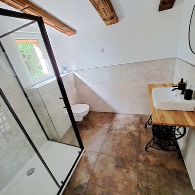 A modern bathroom in the alpine cabin, featuring rustic wooden beams, a glass shower, and a stylish vintage-inspired washbasin.