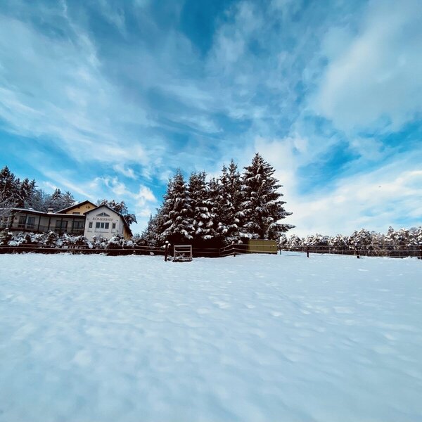 The exterior of the Farm House surrounded by snow-covered trees and a snowy field under a blue sky with clouds.