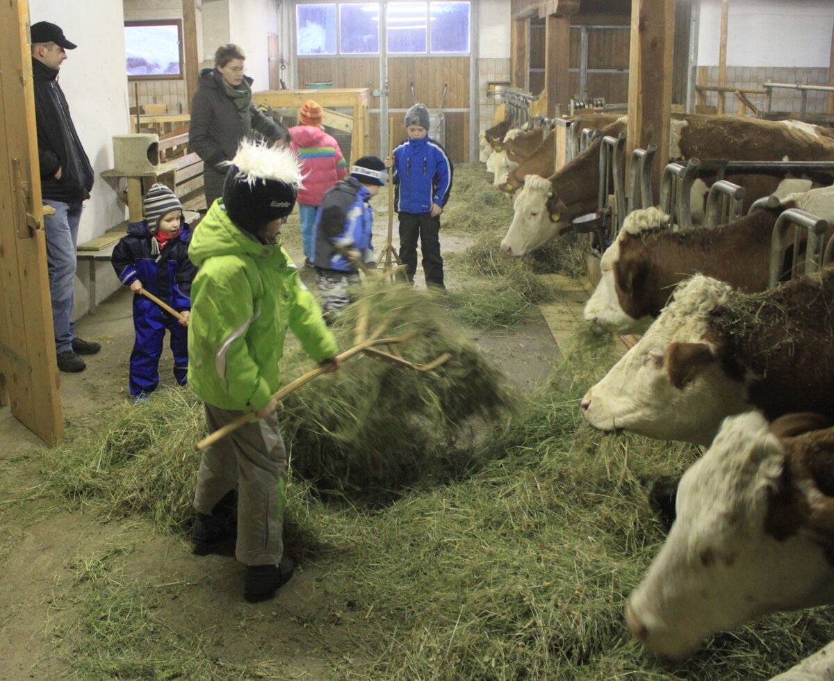 yummy hay for the animals