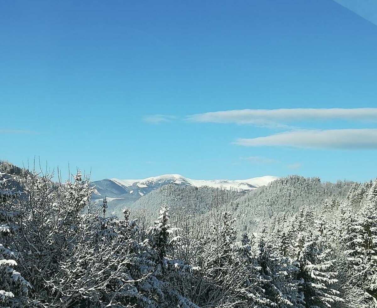 Winter wonder world