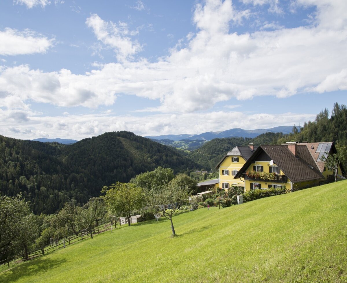 View to our farm