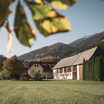 The Farm House exterior, featuring the main building and an adjacent barn, surrounded by a spacious lawn and forested mountains.