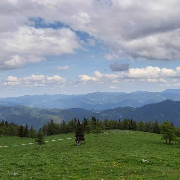 Panoramic mountain views with green hills and forests surrounding the farmhouse.