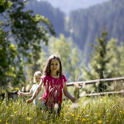A wildflower meadow at the farmhouse, providing outdoor space for children with views of wooded mountains.