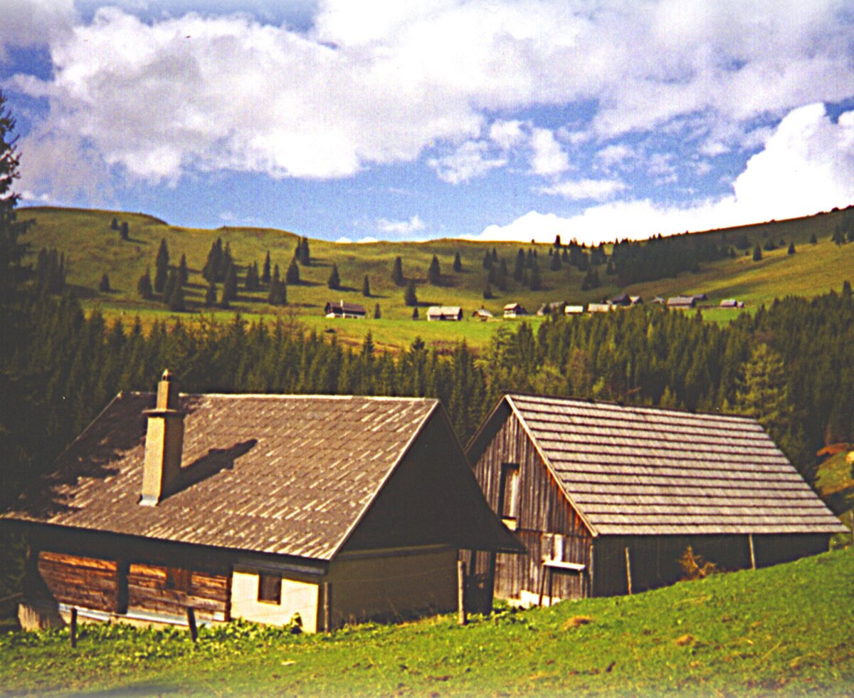The farm house property features two rustic buildings on a green slope, overlooking forests and other distant farm structures.