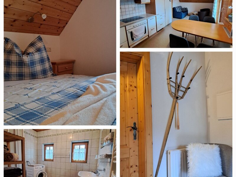 Insights into the farmhouse apartment, featuring a bedroom, kitchen, dining area, living area, and a bathroom with a washing machine.