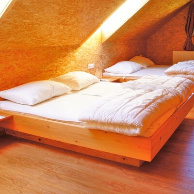 A bedroom in the farmhouse featuring two single beds, wooden walls, a skylight, a window, and a radiator.