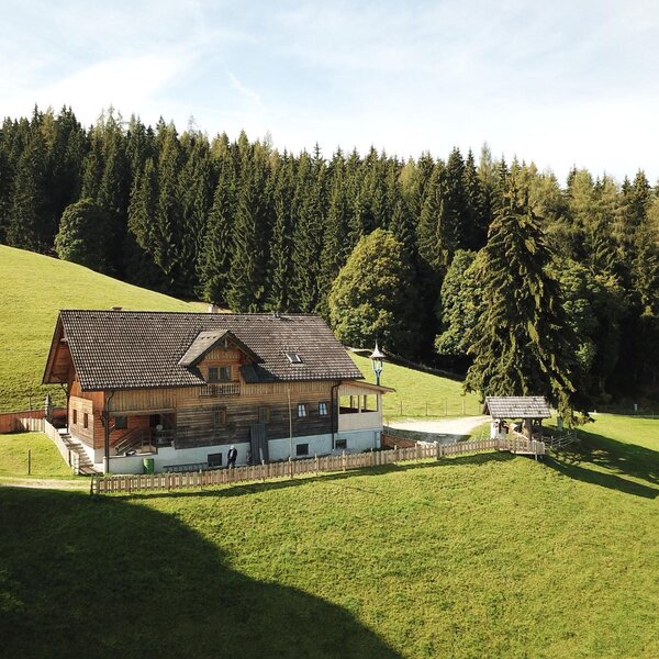 Our mountain cabin, a wooden building nestled on a grassy hillside with a forest backdrop.