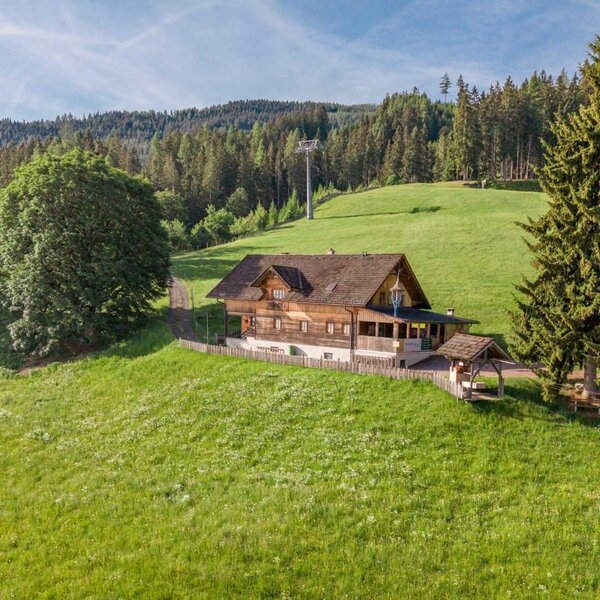 The charming Mountain hut nestled on a lush green hillside surrounded by dense pine forest.
