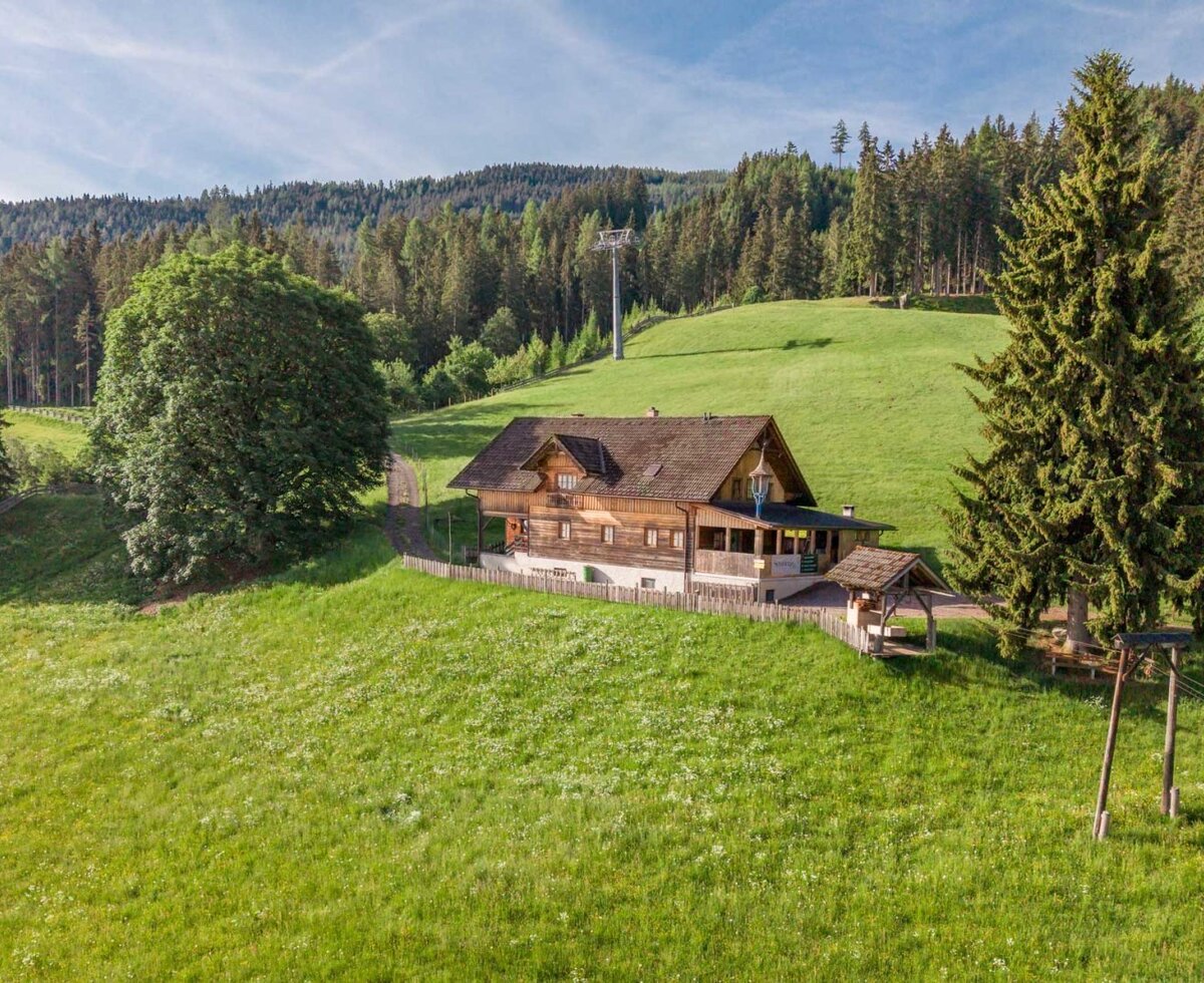 The charming Mountain hut nestled on a lush green hillside surrounded by dense pine forest. © Elisabeth Fröhlich