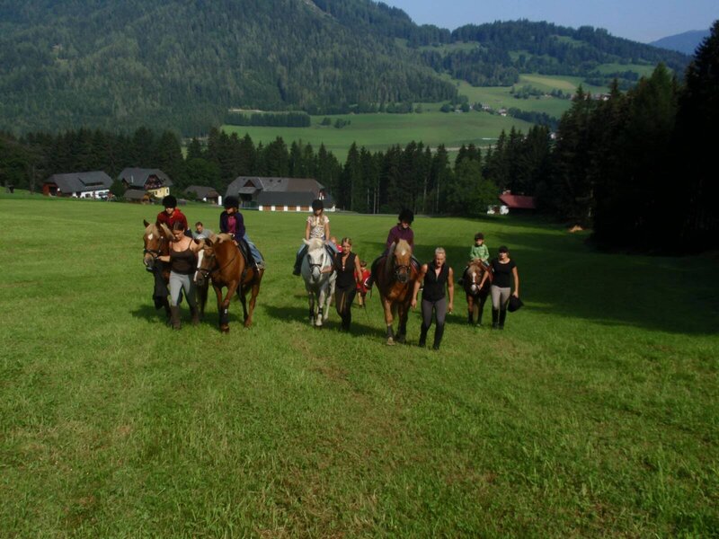 Horses