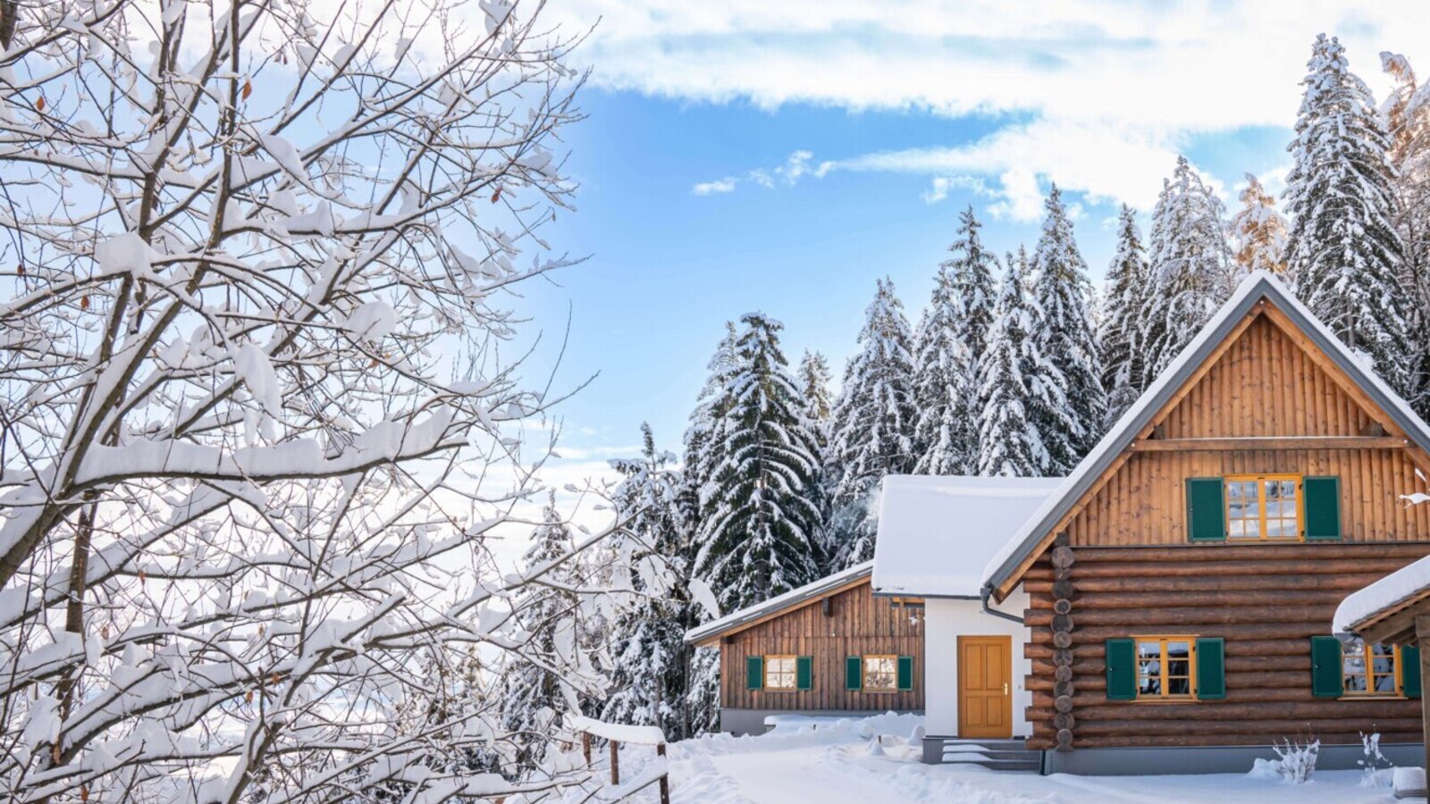 An inviting holiday home built in a rustic log cabin style, surrounded by a snowy winter forest under a clear blue sky.