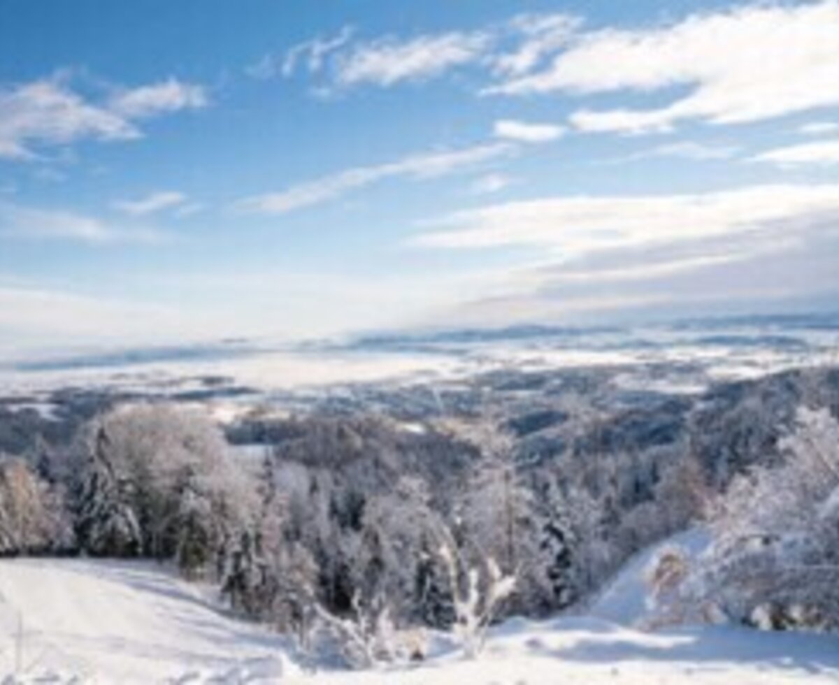 Scenic view from the holiday home of the snow-covered winter landscape and surrounding forests under a blue sky.