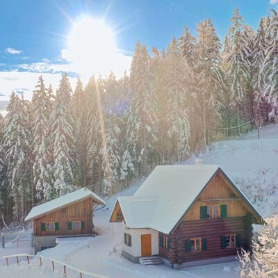An inviting holiday home nestled in a snow-covered winter landscape, surrounded by sunlit pine forests.