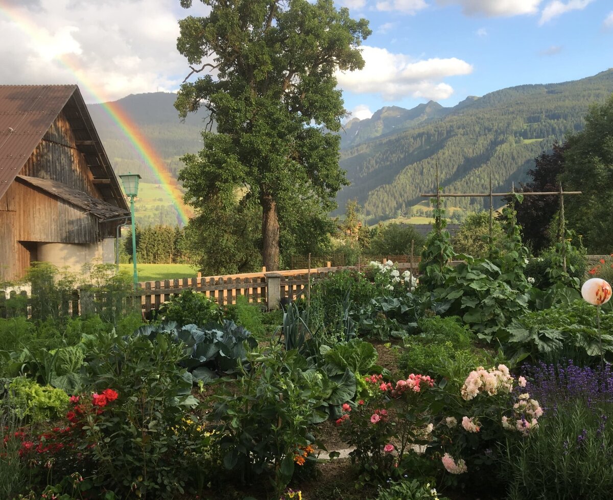 Our garden