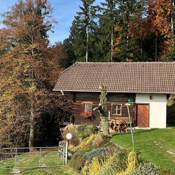 The exterior of the hut, surrounded by trees and a grassy area.