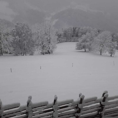 A winter view from the farmhouse, featuring snow-covered fields, trees, and a wooden fence.