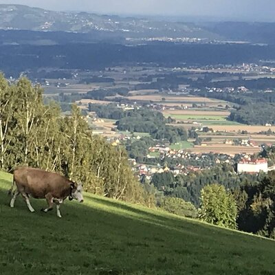 View into the Sulmtal