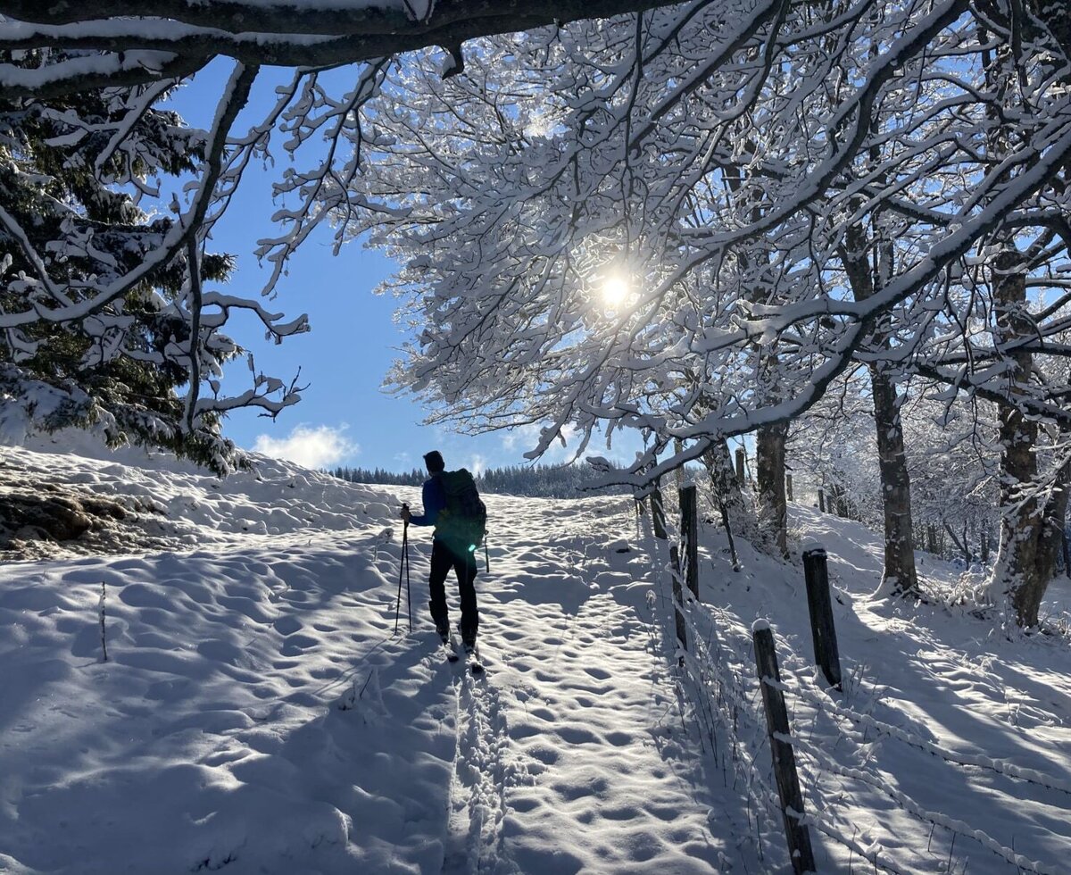 Ski tour directly from the hut