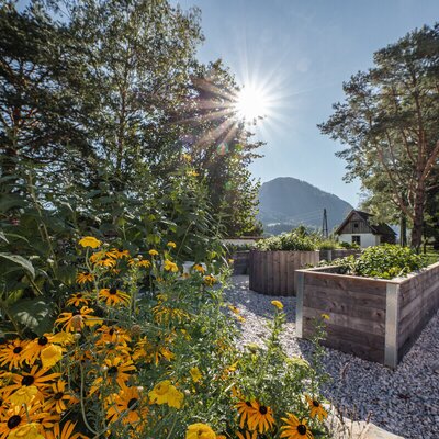 The farmhouse garden features raised wooden beds for growing fresh produce or herbs, surrounded by flowers and offering a mountain view.