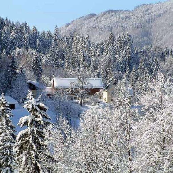 The Farm House nestled among snow-covered trees and mountains in winter. The Farm House nestled among snow-covered trees and mountains in winter.
