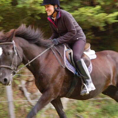 Trail ride at a gallop