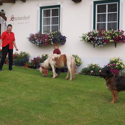 Grandma Linde, Robin with Camelot and Aika
