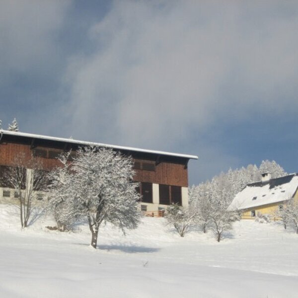The Farm House property, featuring two buildings and surrounding trees covered in snow during winter.