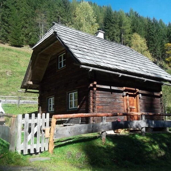 Pond hut