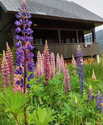 Flowers infront of the entrance