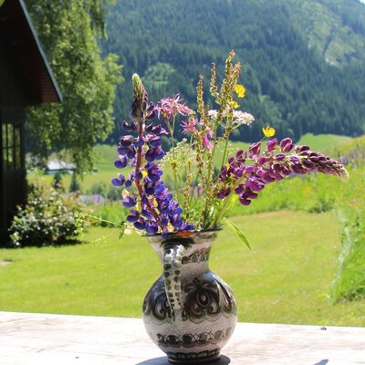 in the garden everthing bloomes in the summer