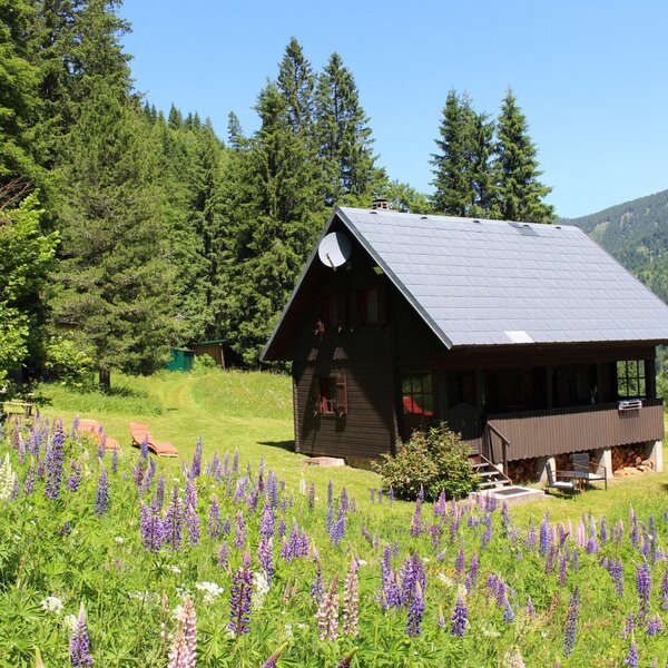 hut Triebentalblick in the summer