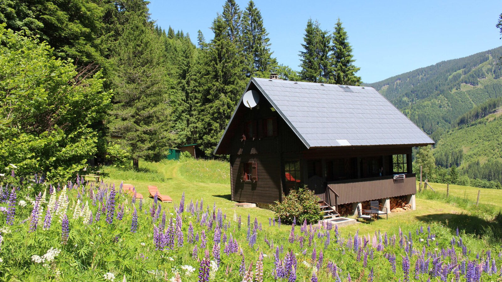 hut Triebentalblick in the summer