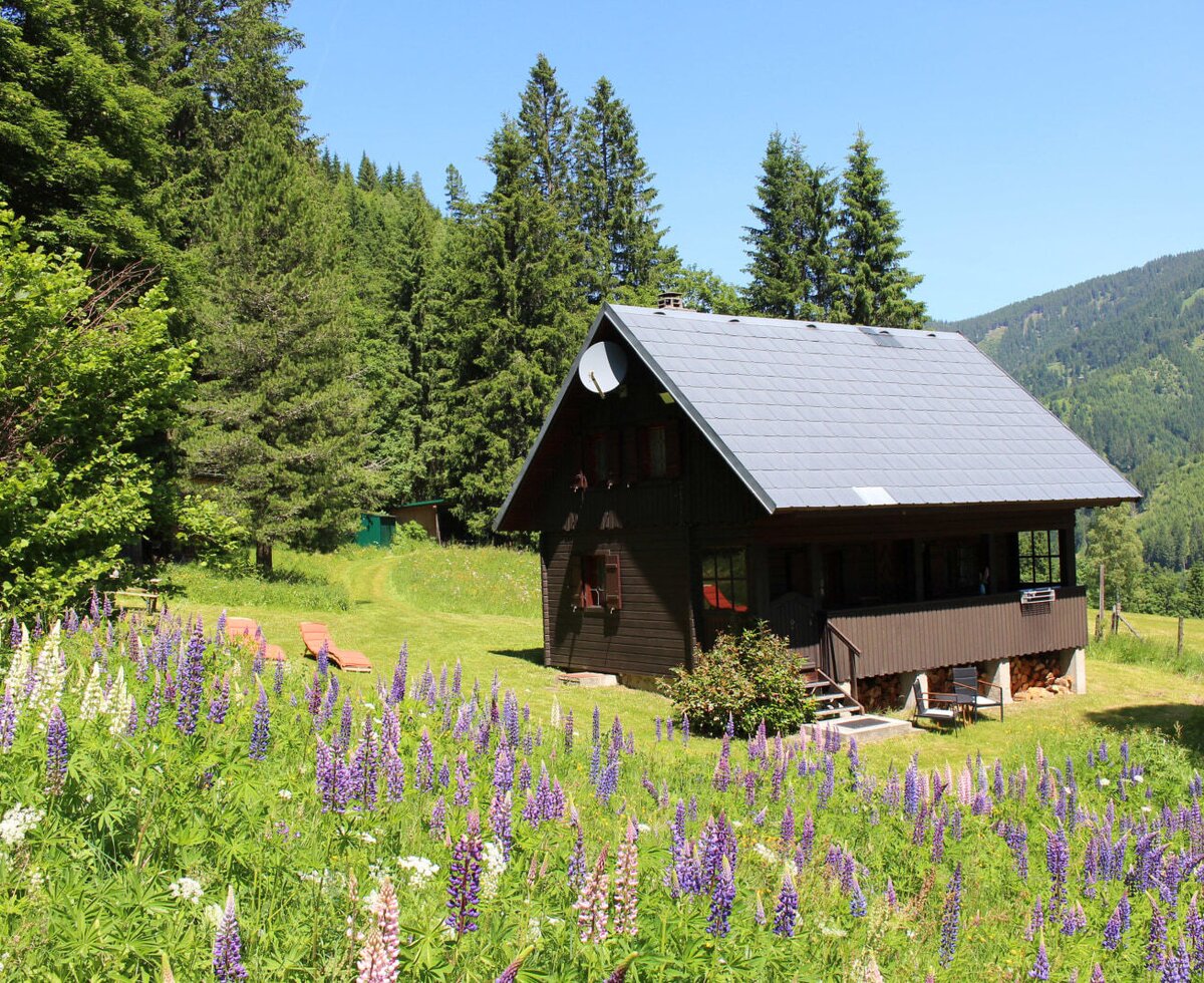hut Triebentalblick in the summer hut Triebentalblick in the summer