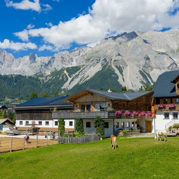 The farmhouse with its traditional buildings, balconies with flowers, a riding arena, and horses, surrounded by an impressive mountain landscape.