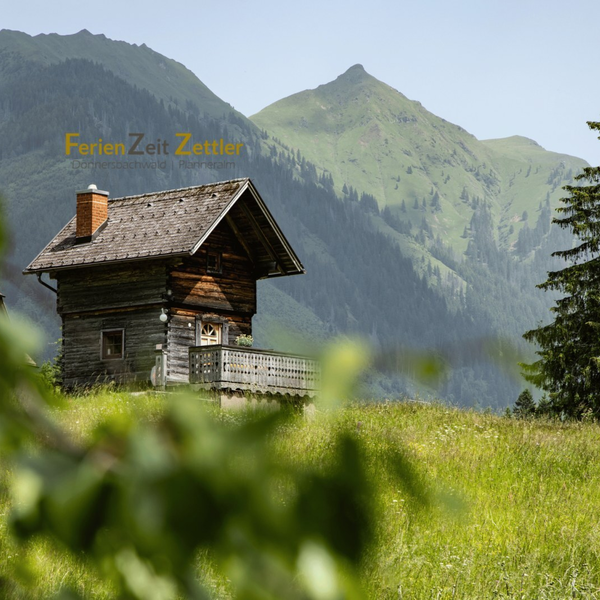 Troadkasten with a balcony, surrounded by a meadow, with mountains and a fir tree in the background.
