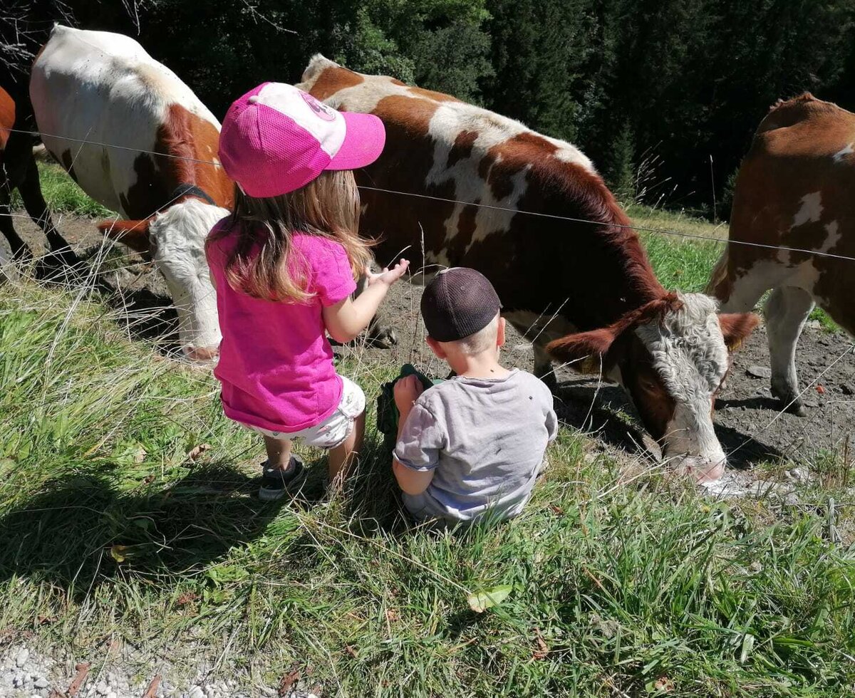 Children observing cows in the pasture at the Bed and Breakfast.